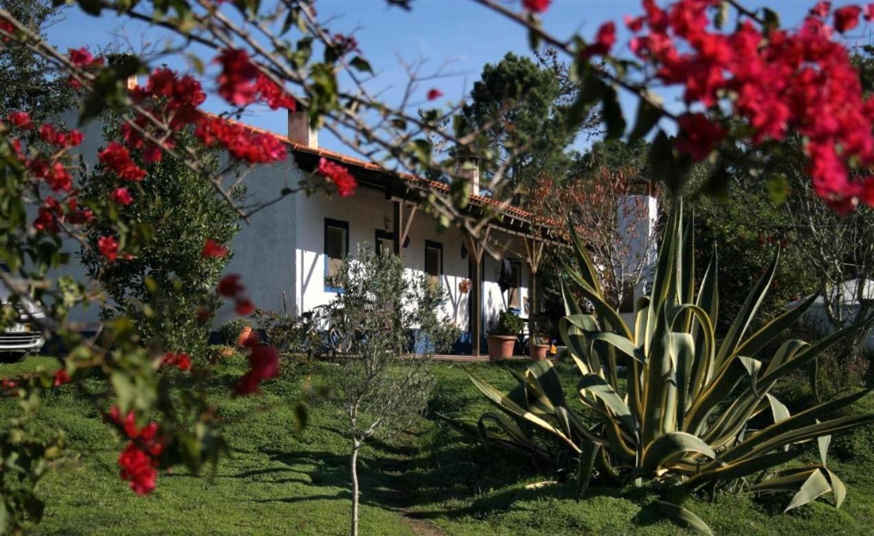 Monte Da Choca Guest House Sao Teotonio Ngoại thất bức ảnh