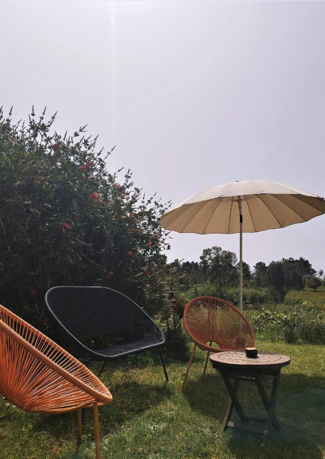 Monte Da Choca Guest House Sao Teotonio Ngoại thất bức ảnh